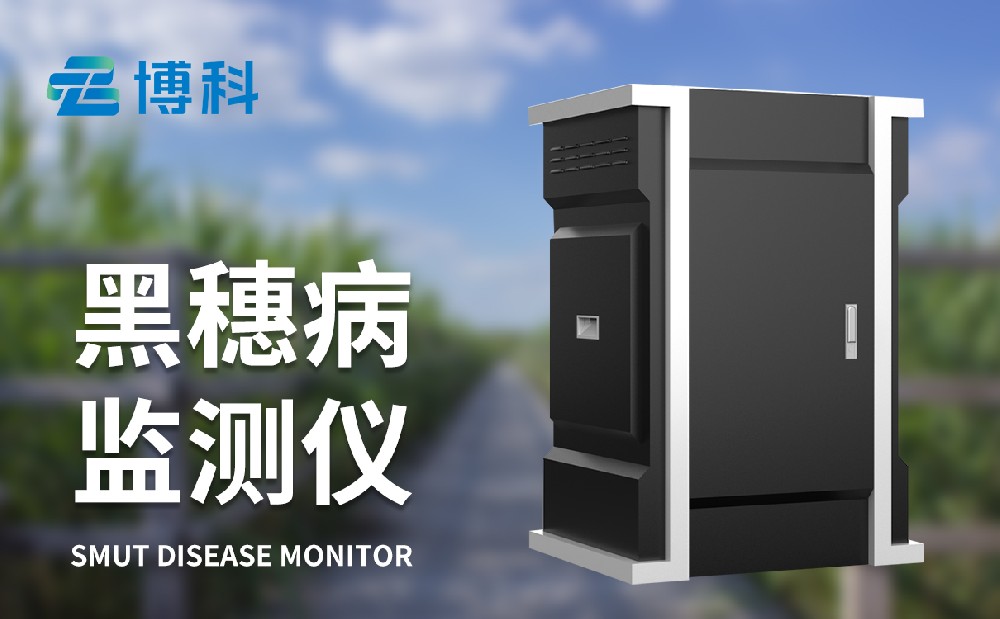 玉米黑穗病監(jiān)測儀提升玉米農(nóng)田病害治理能力