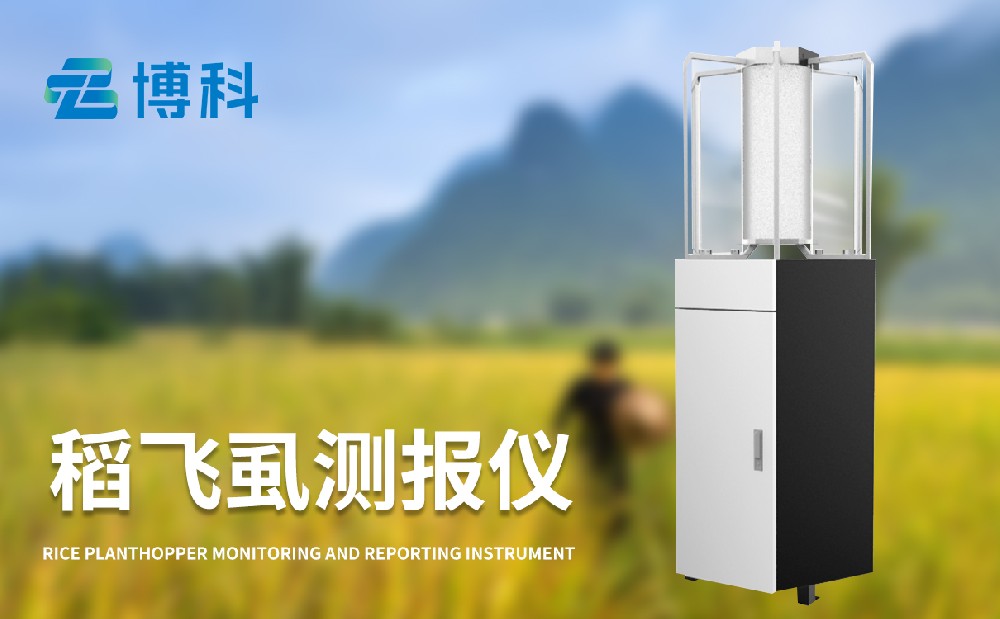 稻飛虱在線監(jiān)測儀有效提升水稻病蟲害治理能力